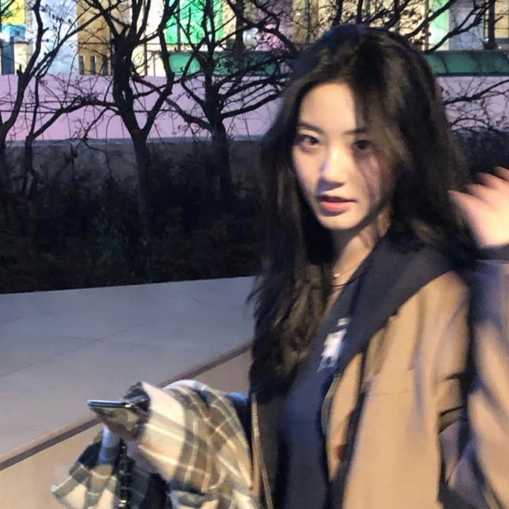 熊的乔纳森